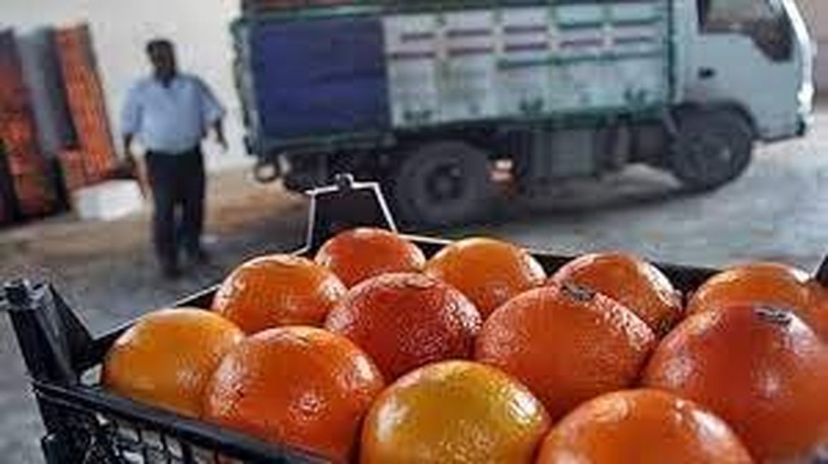 چرا پرتقال‌های میدان میوه و تره بار بوی تریاک می‌داد؟

