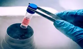 تعدادی از خانواده‌های‌ معترض: جنین اشتباهی تحویلمان دادند

