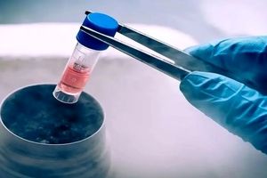 تعدادی از خانواده‌های‌ معترض: جنین اشتباهی تحویلمان دادند

