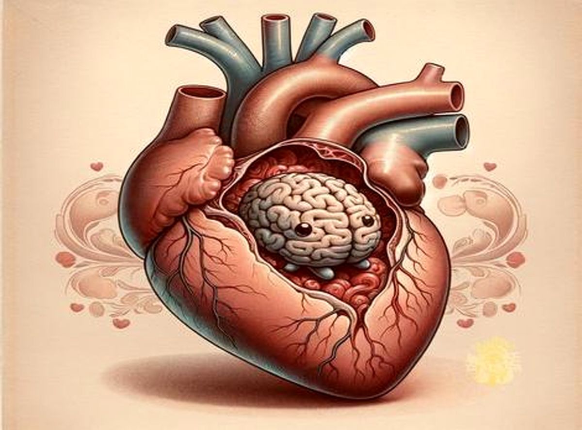 مغز کوچک قلب؛ دلایل علمی بر تایید خوش قلبی، تصمیم گیری با قلب و...