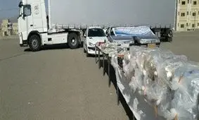 توقیف محموله مواد مخدر در عملیات مشترک پلیس هرمزگان و همدان