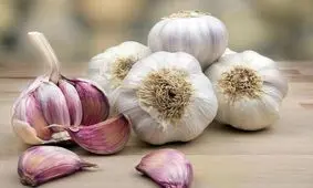 کنترل دیابت با "سیر"