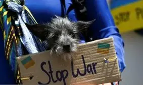 نیویورک در اعتراض به تجاوز اسرائیل به ایران به پا خاست