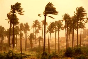وضعیت خطرناک هوای سیستان‌ و بلوچستان / ویدئو