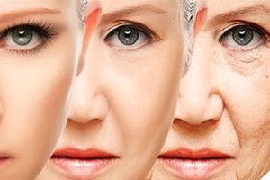 جوان نگه داشتن پوست صورت با مصرف این میوه