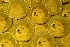 دوج‌کوین از خواب بیدار شد؛ جهش ۵۰ درصدی درانتظار DOGE


