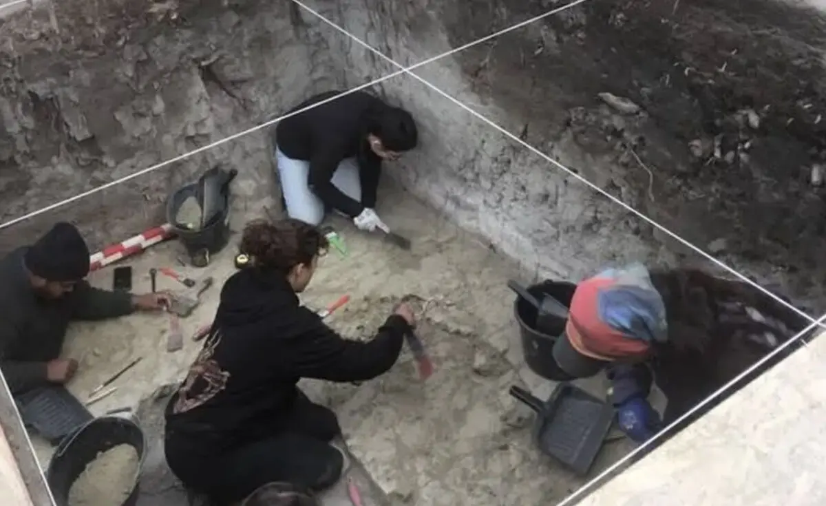 کشف جمجمۀ 12 هزارساله یک جانور غول‌پیکر که احتمالا انسان‌ها مغزش را خورده‌اند