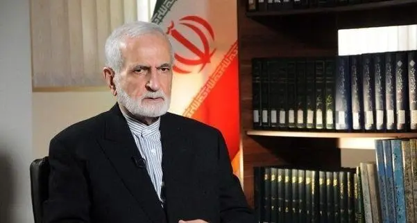 جزئیات یک ترور / کمال خرازی مسئول هماهنگی برای نشست احتمالی با ونس بود