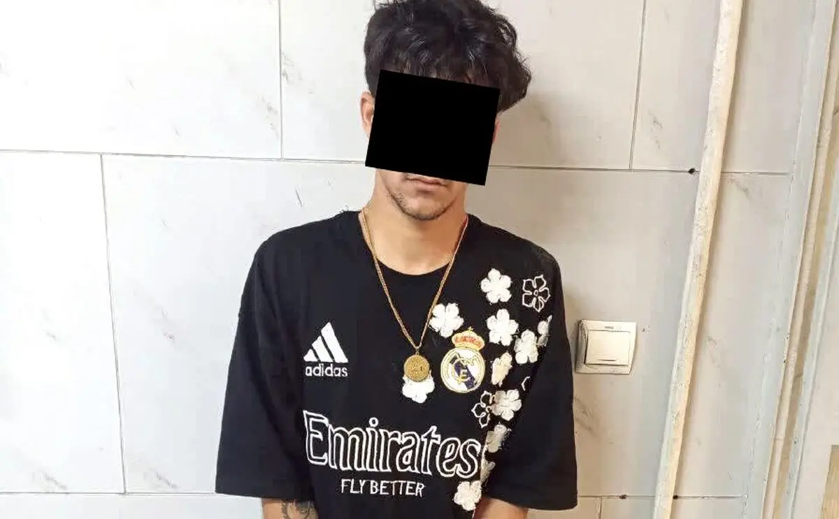 دختر ۱۶ ساله در باند گوشی قاپ ها/ مالخر نوجوان هم دستگیر شد