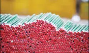 انبارها لبریز از نوشت‌افزار/تامین صددرصدی نیاز کشور به مداد و خودکار
