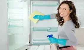 چگونه فریزرمان را تمیز کنیم؟