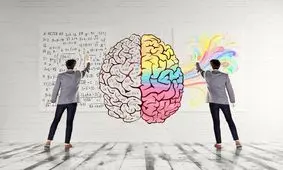 مغز چپ در مقایسه با مغز راست: آیا راست مغزی و چپ مغزی حقیقت دارد؟