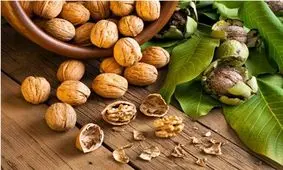 گردوی تویسرکان ثبت جهانی شد