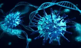 کرونای «پیرولا» هنوز به کشور نرسیده است