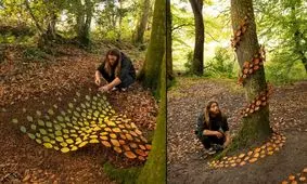 شاهکارهای خلاقانه هنرمند ولزی با «برگ درخت»