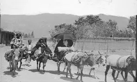 سفر به عصر قاجار؛ از الاغ‌های کرایه‌ای تا قدیمی‌ترین عکس لاله‌زار