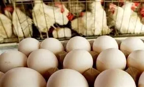 سفر به ایران قدیم؛ ۱۰ میلیون تخم‌مرغ و ۱۰۰هزارتن برنج از آمریکا رسید