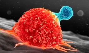 رونمایی از نانوذرات مغناطیسی هوشمند برای هدف‌گیری دقیق تومورهای سرطانی

