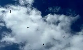 تجاوز جدید رژیم صهیونیستی به جنوب لبنان 