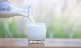 نوشیدن شیرهایی که شما را معتاد می کند