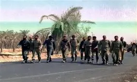 چرا فاو سقوط کرد؟