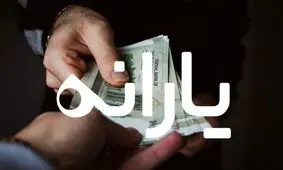 امشب چه کسانی یارانه دریافت می کنند؟/ ویدئو
