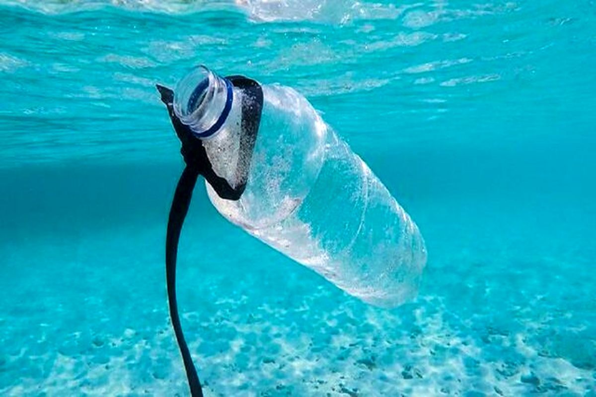 باکتری ها می‌توانند پلاستیک را هضم کنند!