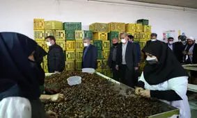 سفر وزیر صنعت، معدن و تجارت به خوزستان