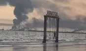 آهنگ جدید محسن نامجو، خواننده مقیم خارج از کشور بر اساس تهدید ترامپ/ ویدئو
