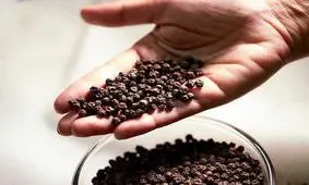 رابطه باورنکردنی فلفل سیاه و سرطان کشف شد