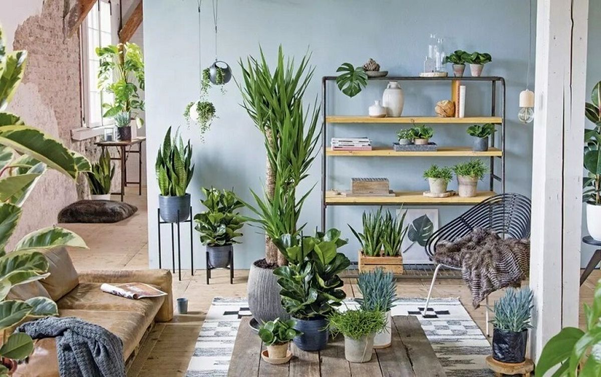  خلاقانه‌ترین ایده‌های چیدمان گیاهان آپارتمانی
