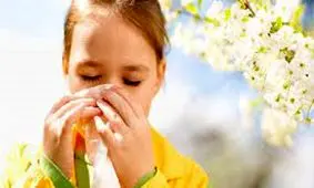 وجود بیشترین میزان گرده در اواخر روز