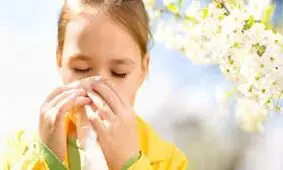 وجود بیشترین میزان گرده در اواخر روز