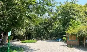 ماجرای اسکلت های پارک قیطریه/ در شمال تهران چه گنجی نهفته است؟