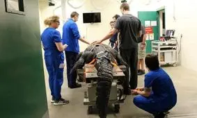 چطور از تمساح ها سی تی اسکن می گیرند؟/ عکس
