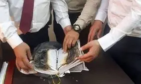 هتک حرمت صهیونیست ها به قرآن کریم 

