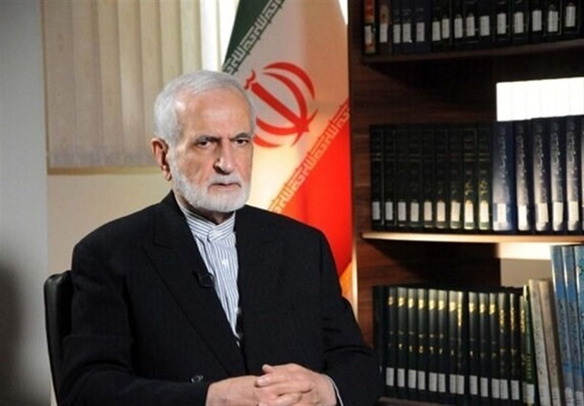  کمال خرازی: سرنوشت منطقه در گرو همکاری کشورهای منطقه است/ ویدئو 