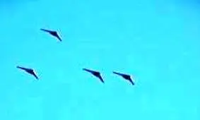 انهدام اهداف ثابت و متحرک دریایی و زمینی توسط پهپادهای تهاجمی نقطه‌زن سپاه