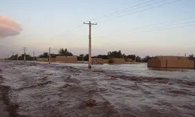 سیل چوپان و گله‌اش را برد 