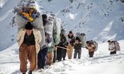 سهم کولبران در بودجه افزایش پیدا خواهد کرد