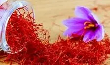 قیمت هرکیلو زعفران ۱۸۰ میلیون