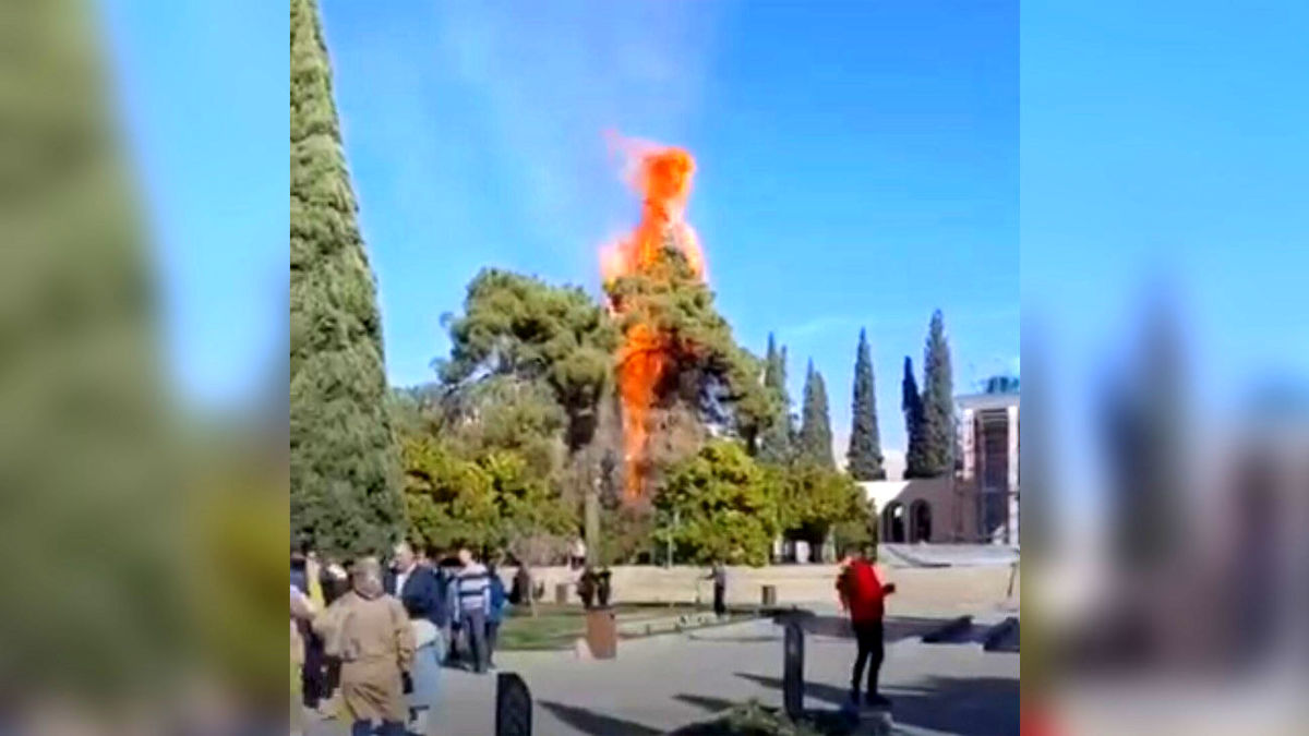 آتش سوزی آرامگاه سعدی/ویدئو