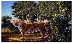 تست خطای دید: اگر بتوانید ببر دوم را پیدا کنید یک نابغه هستید!