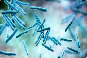 مقاومت در برابر کرونا ویروس با کمک باکتری عامل سل
