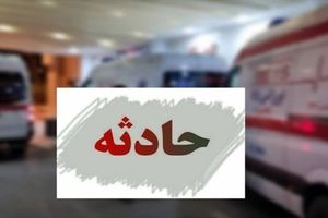 از کشته و زخمی شدن ۱۳ نفر در تصادفات تا ناکامی قاچاقچیان احشام