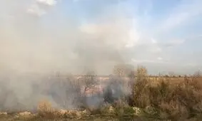 فعالان محیط زیست کارى بکنند!

