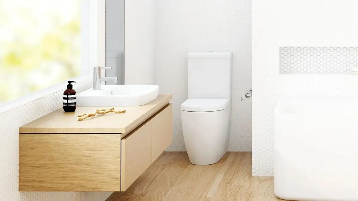 توالت چگونه اختراع شد؟ نگاهی به سیر تکامل سرویس‌های بهداشتی
