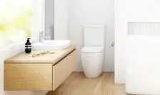 توالت چگونه اختراع شد؟ نگاهی به سیر تکامل سرویس‌های بهداشتی
