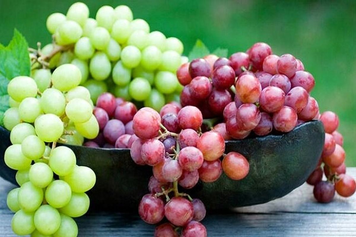 میوه ای که اثرات منفی تغذیه ناسالم را کاهش میدهد