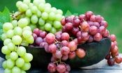 میوه ای که اثرات منفی تغذیه ناسالم را کاهش می‌دهد